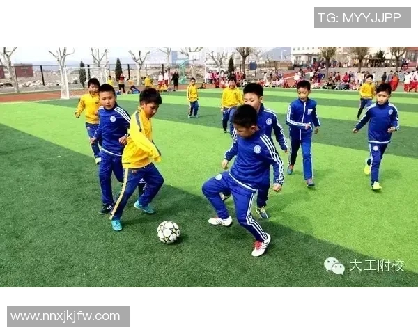 在绿茵场上舞动的诗篇与心灵的激情交融之美